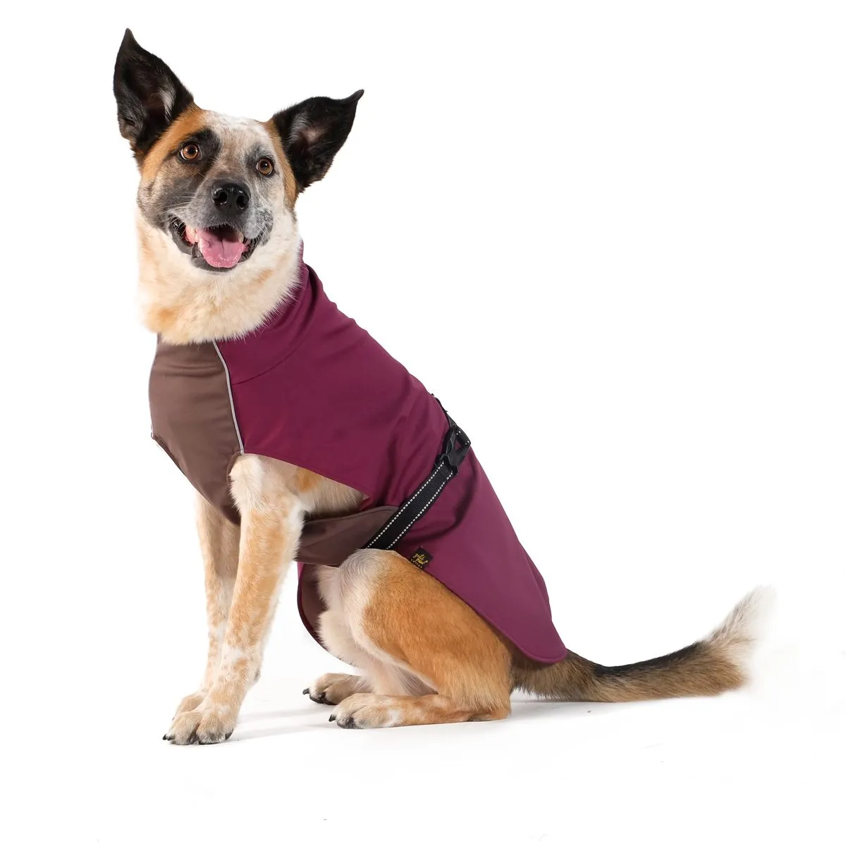 Rain Paw Dog Jacket