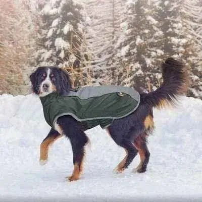 Regal Paws Waterproof Dog Jacket